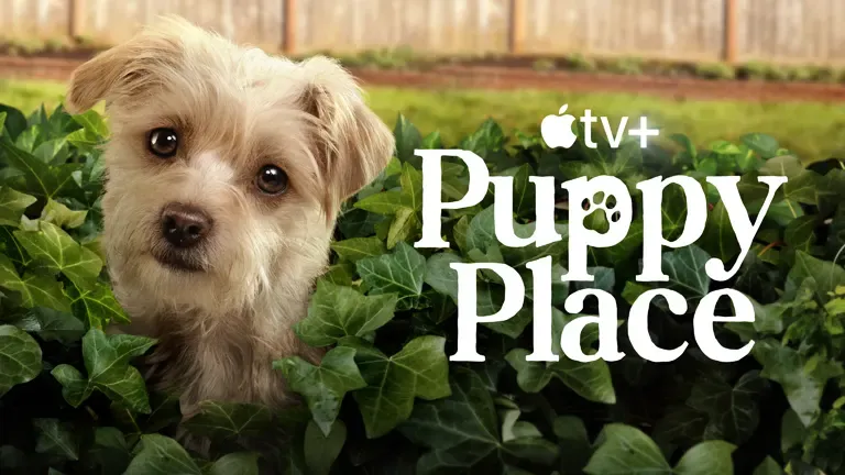 Puppy Place – Season 2